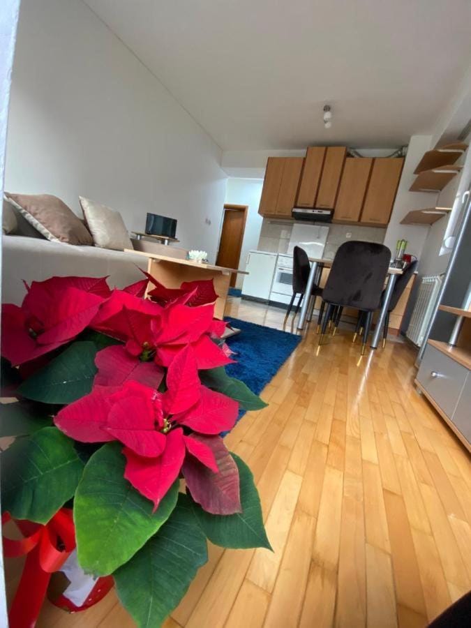 Tea Apartment Apartment in Skopje