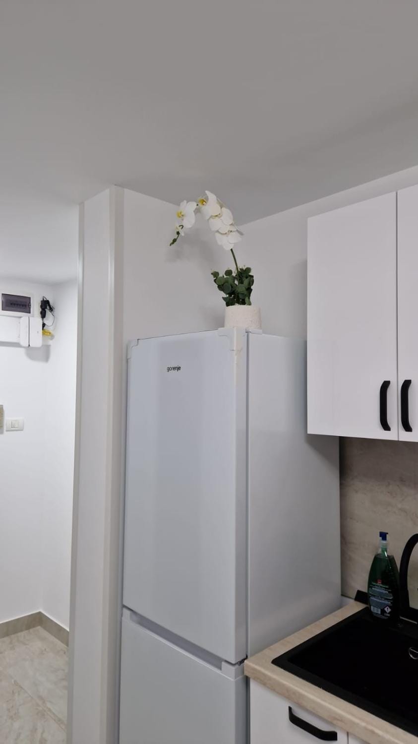 Brancoveanu Apartament's Apartment in Bucharest