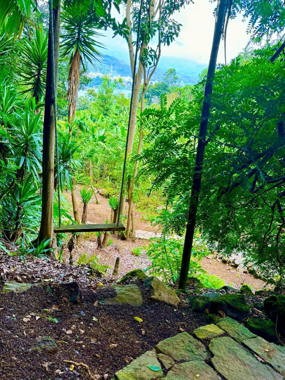 Natural landscape, Entertainment, Entertainment