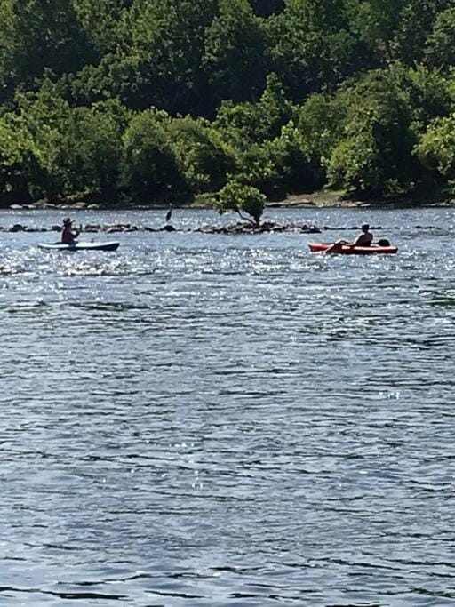 Natural landscape, Activities, River view