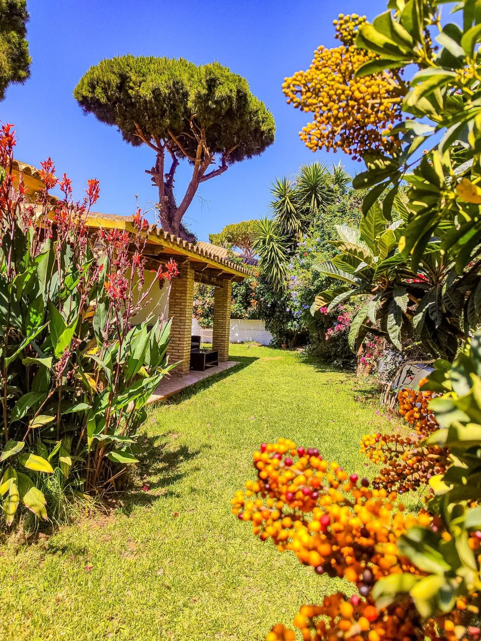 Casa del Tucán House in Chiclana de la Frontera