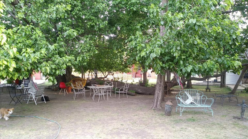 Restaurant/places to eat, Dining area