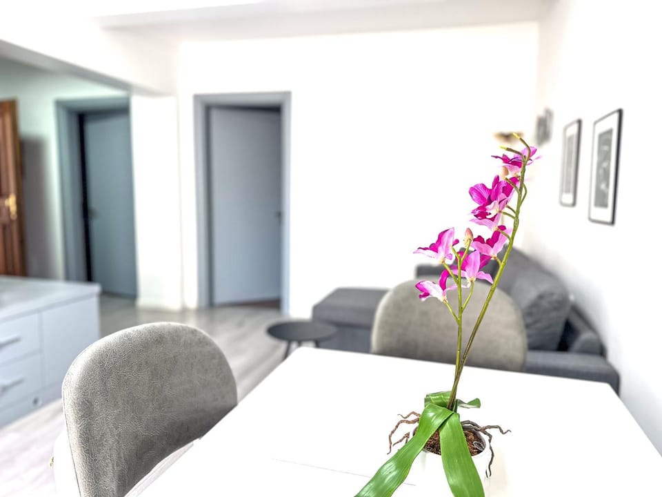 Living room, Photo of the whole room, Seating area