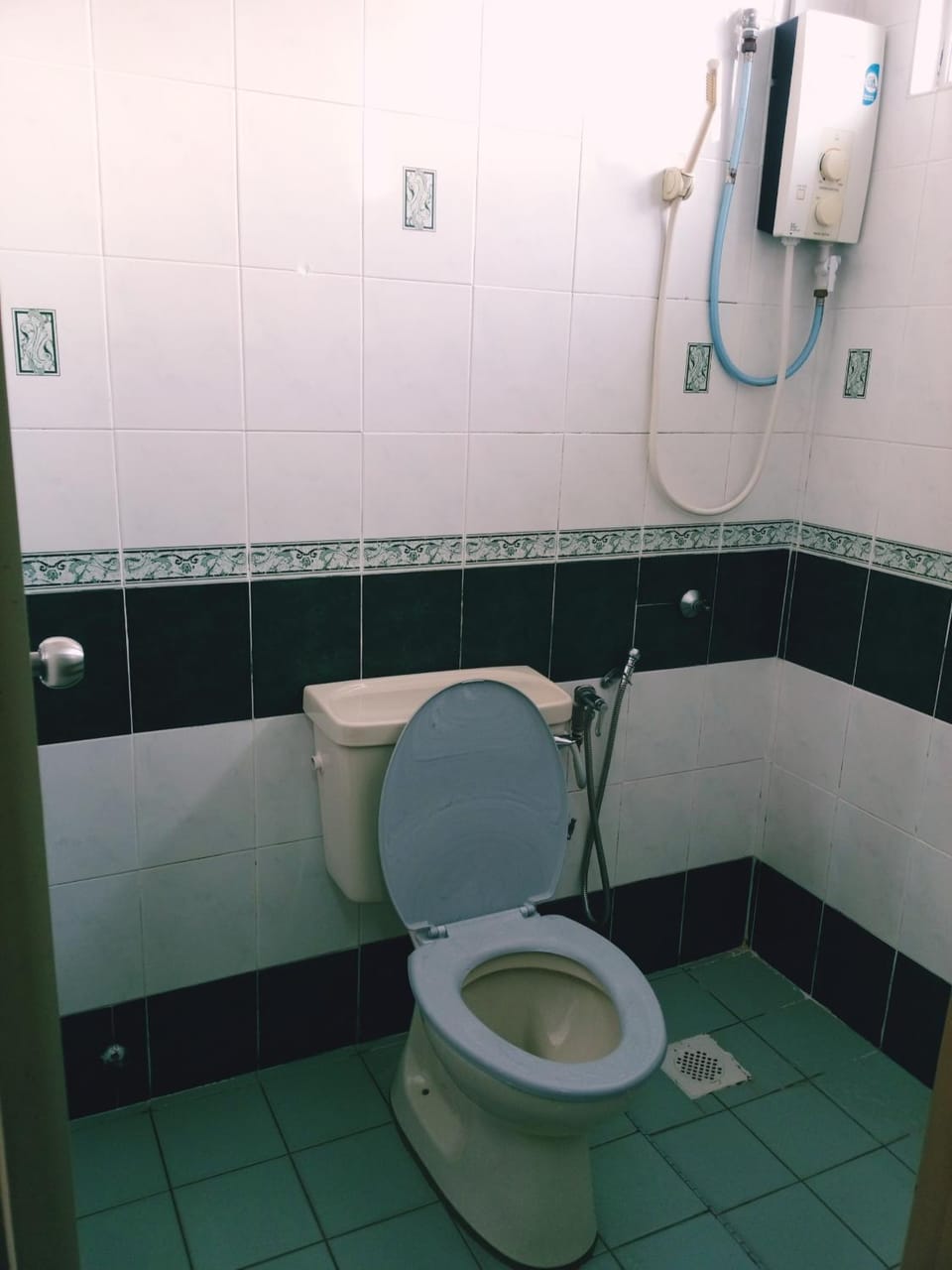 Shower, Toilet, Bathroom, bidet