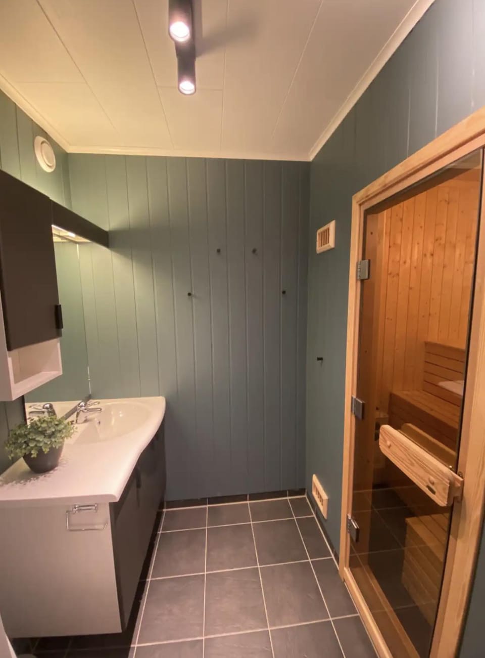 Cozy apartment near Besseggen with a private sauna Apartment in Innlandet