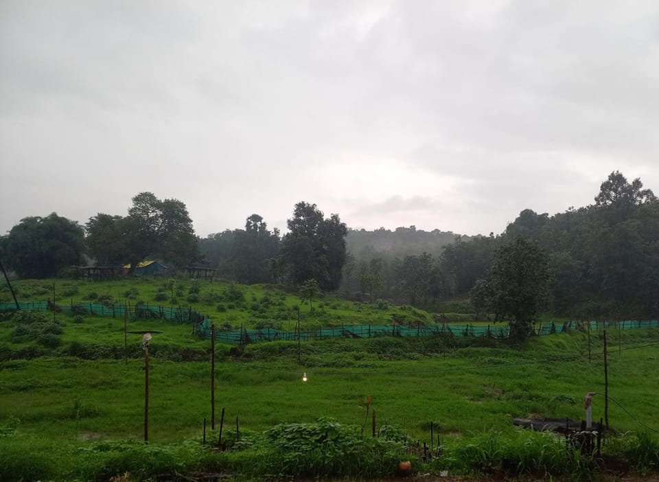 Natural landscape