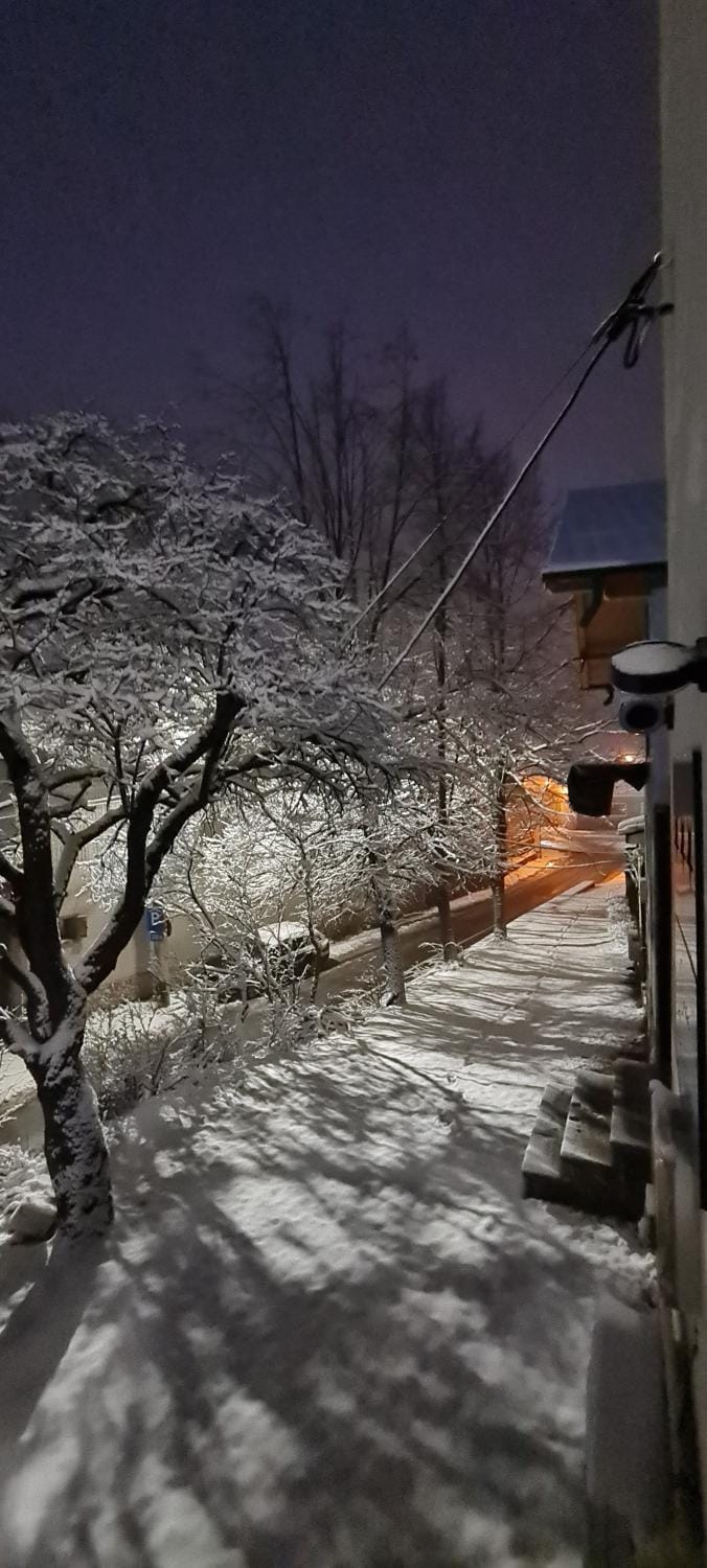 Winter
