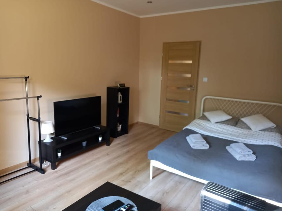 Apartament Górski Apartment in Lower Silesian Voivodeship