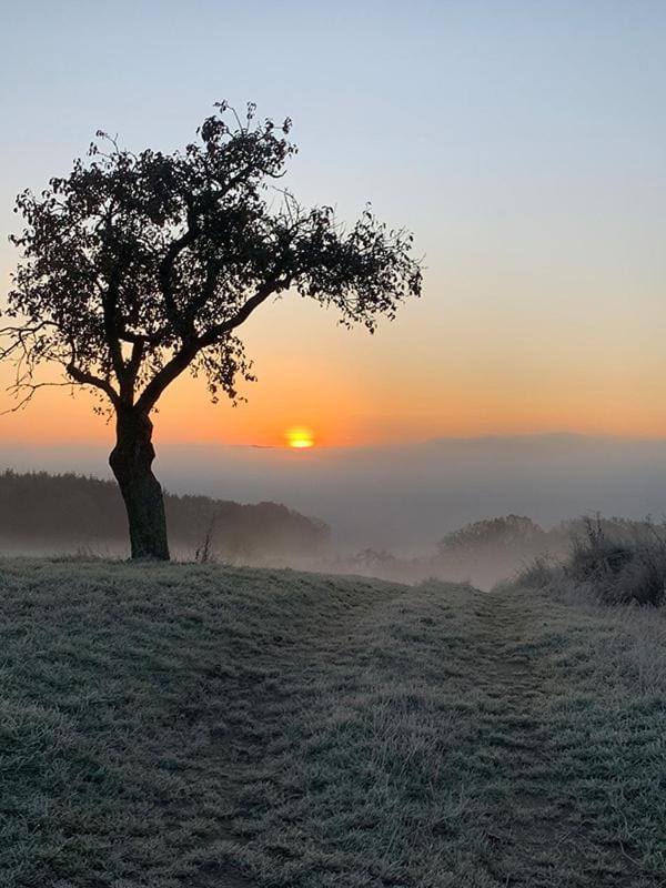 Natural landscape, Sunrise