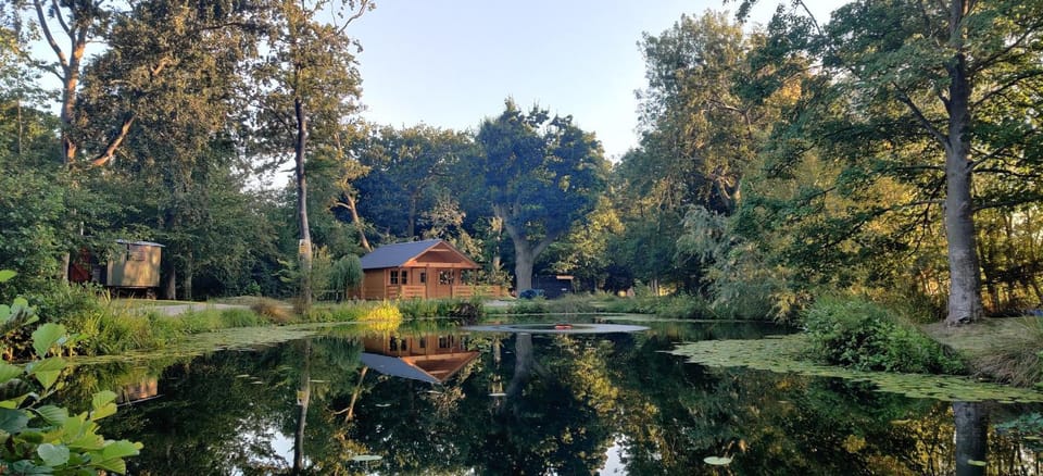 Property building, Day, Natural landscape, Garden, Garden view, Lake view