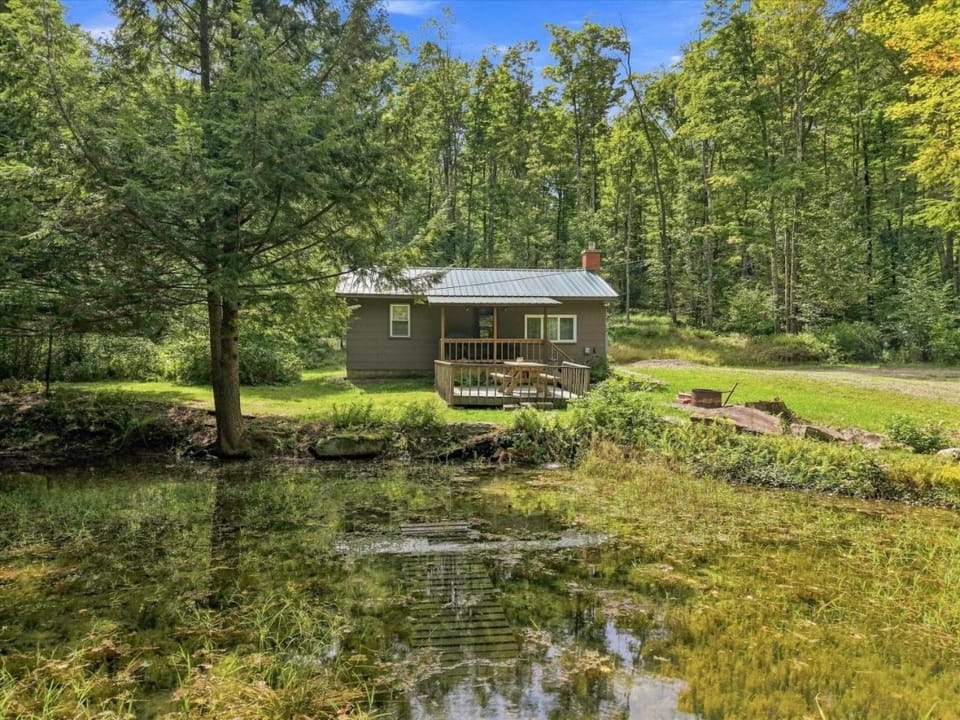Salmon Creek Cabin - Allegheny National Forest Cabin in Allegheny River