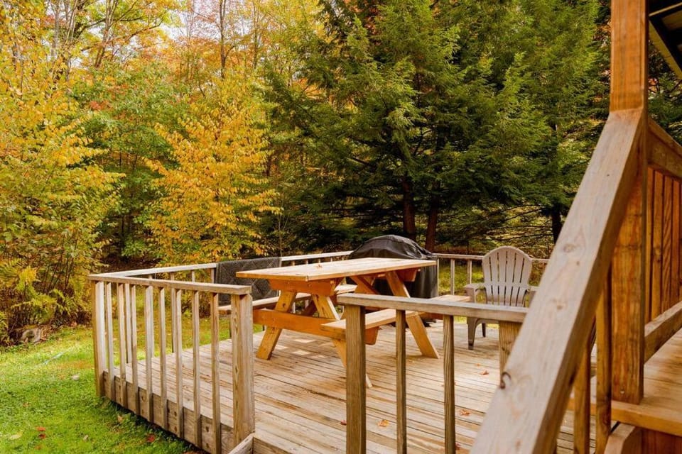 Salmon Creek Cabin - Allegheny National Forest Cabin in Allegheny River
