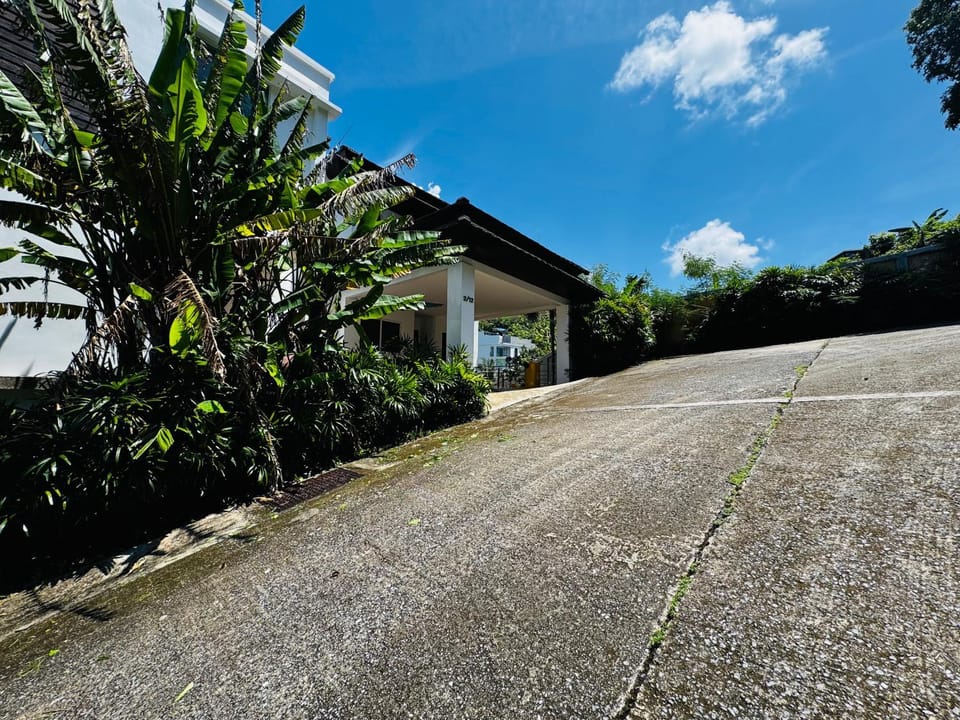 Property building, Spring, Day, Garden, Garden view
