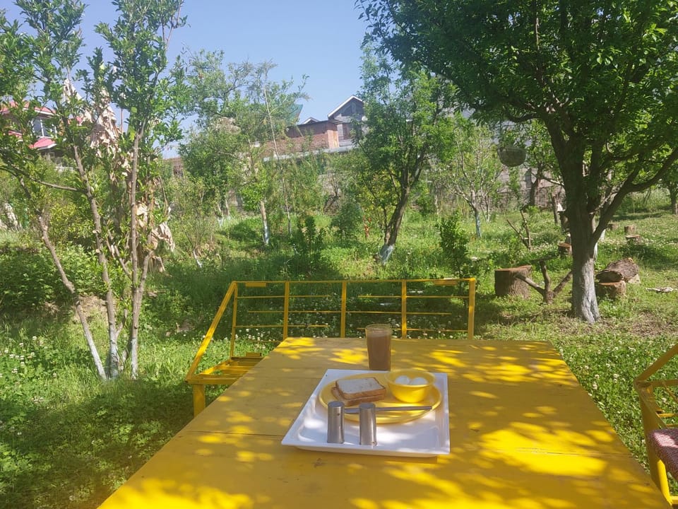 Gazing Moon Homestay Vacation rental in Himachal Pradesh