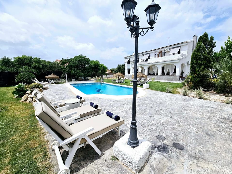 Day, Garden, Garden view, Pool view, Swimming pool, sunbed