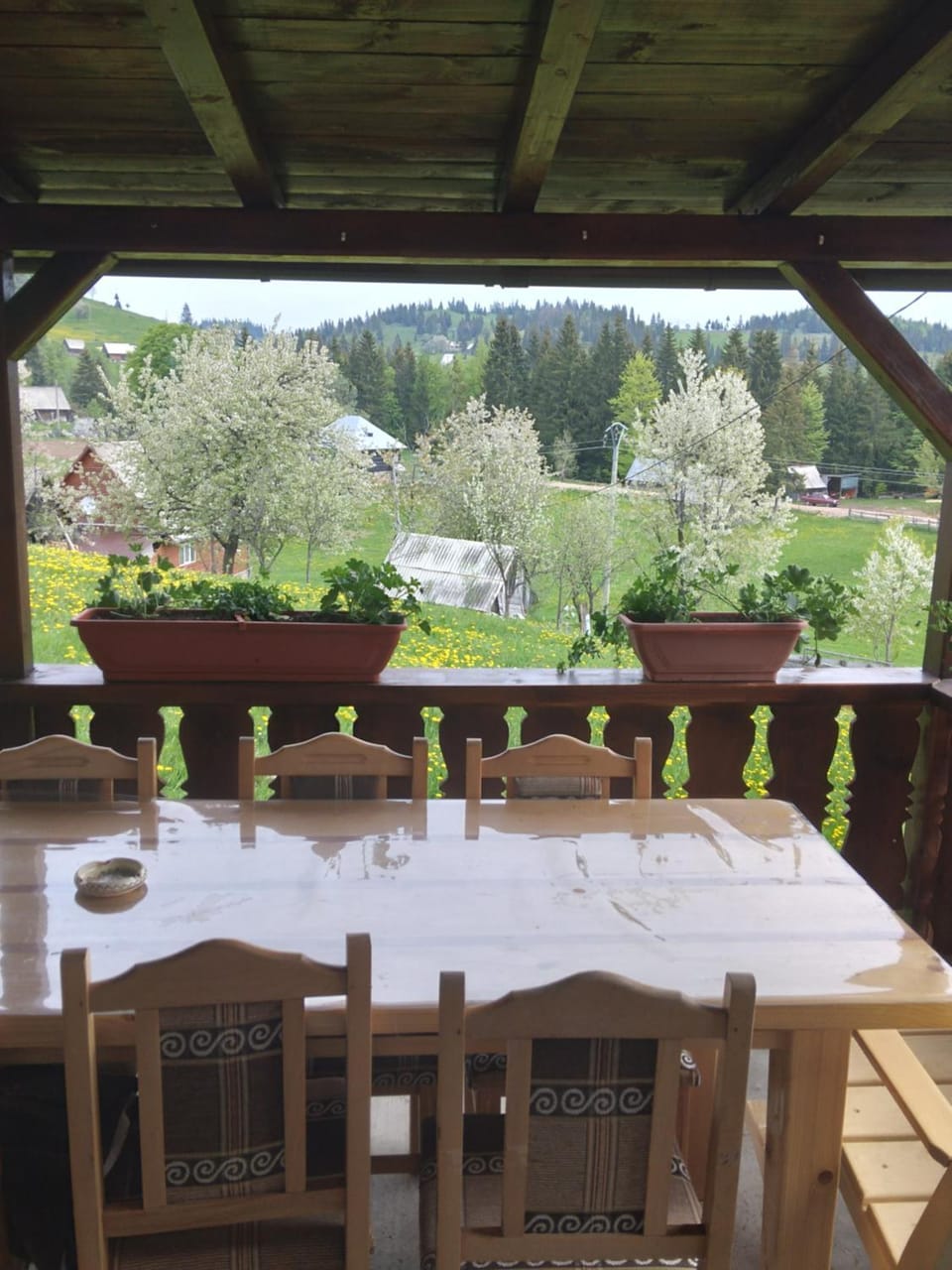 Casa din Deal-Apuseni Nature lodge in Cluj County