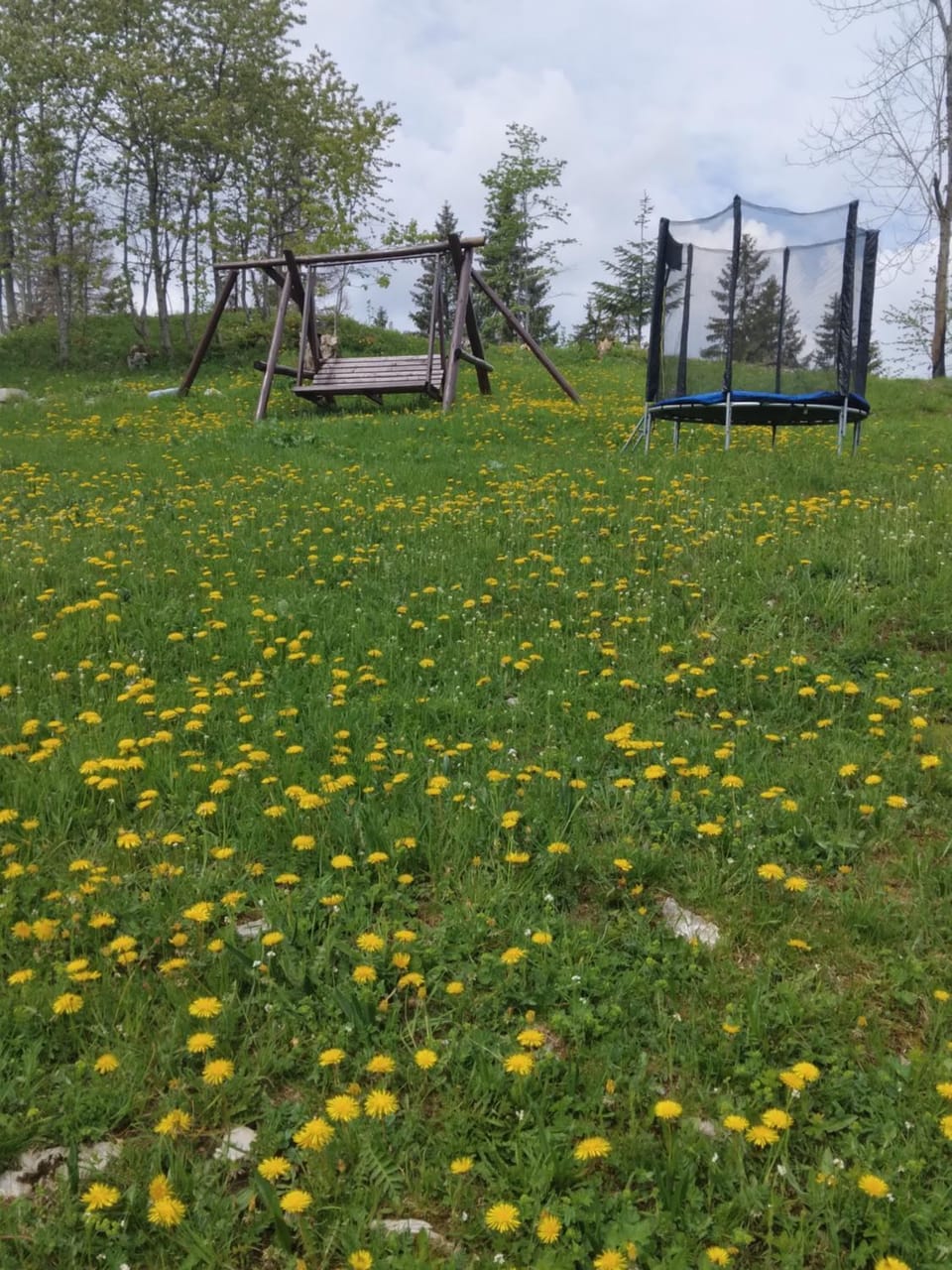 Casa din Deal-Apuseni Nature lodge in Cluj County