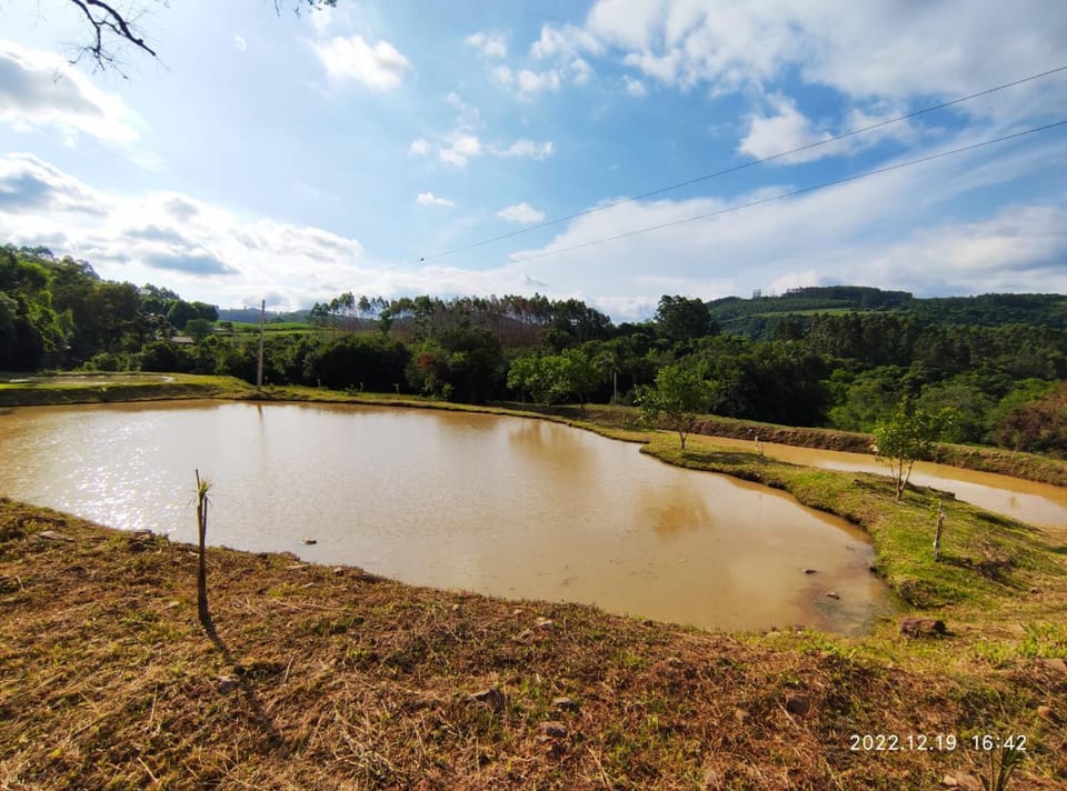 Lake view