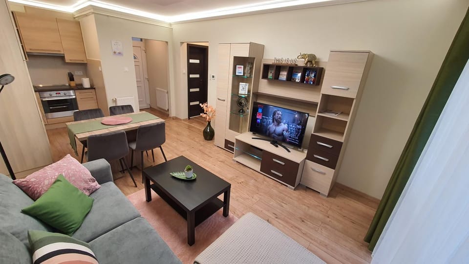 TV and multimedia, Living room, Decorative detail, Dining area, pet friendly, stove, wardrobe, kitchen