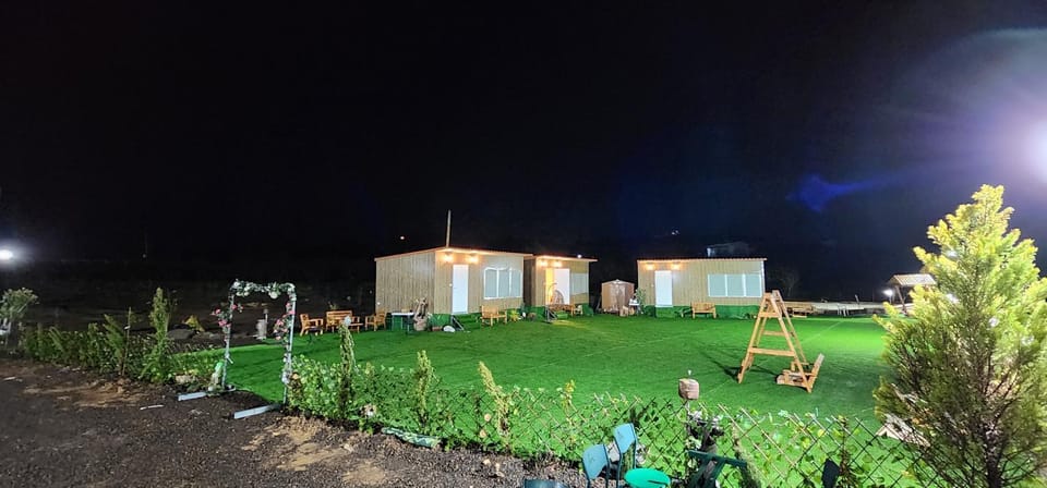 Night, Garden, Garden view