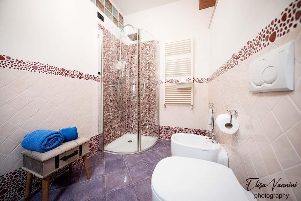 Shower, Toilet, Bathroom, bidet, towels