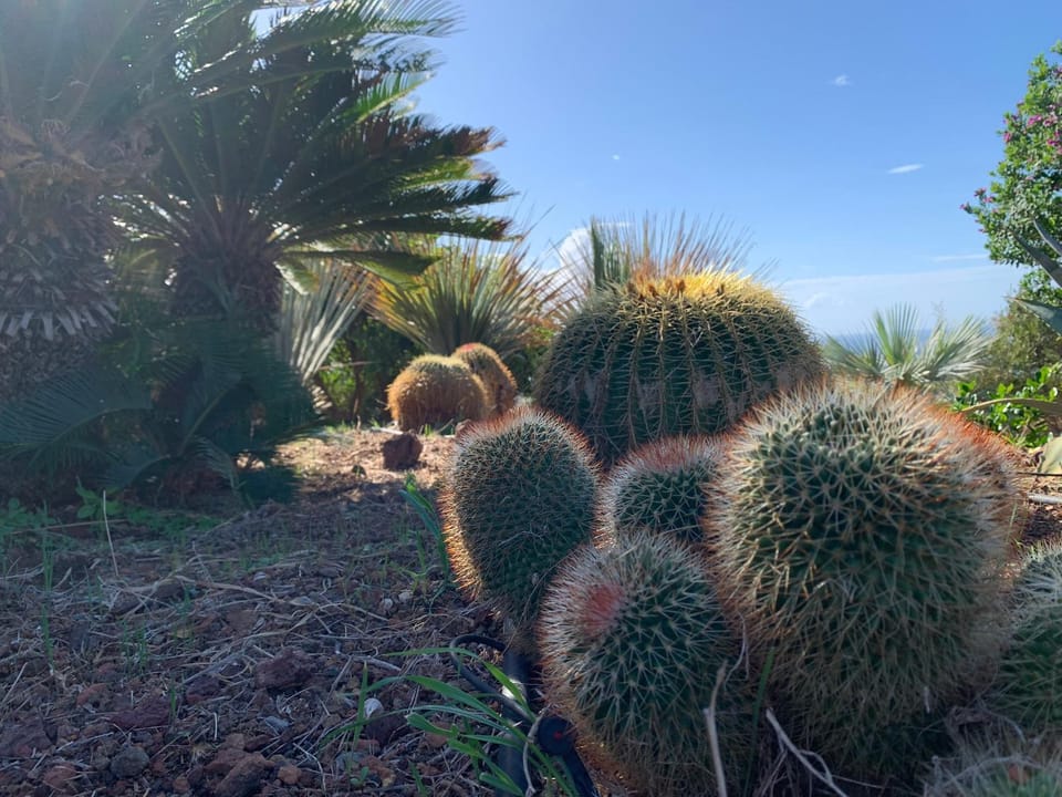 Natural landscape, Garden