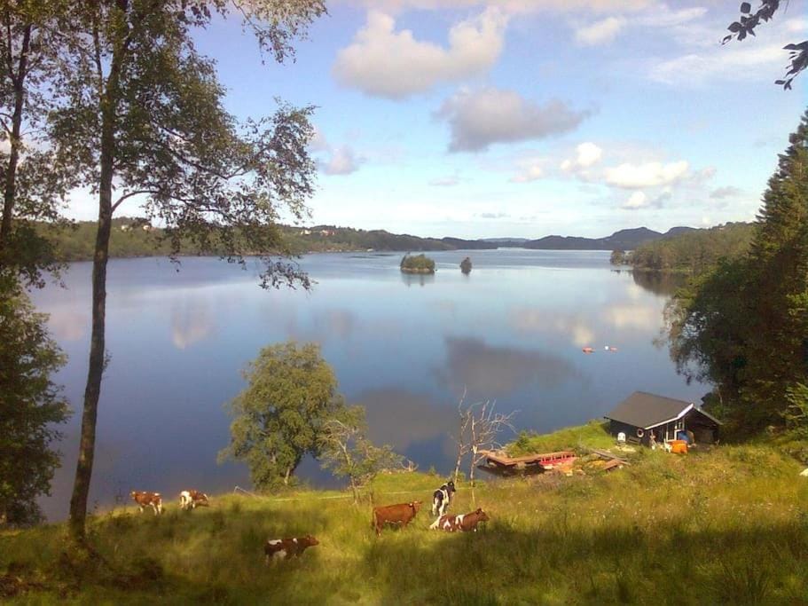 BBQ facilities, Fishing, Lake view, Public Bath