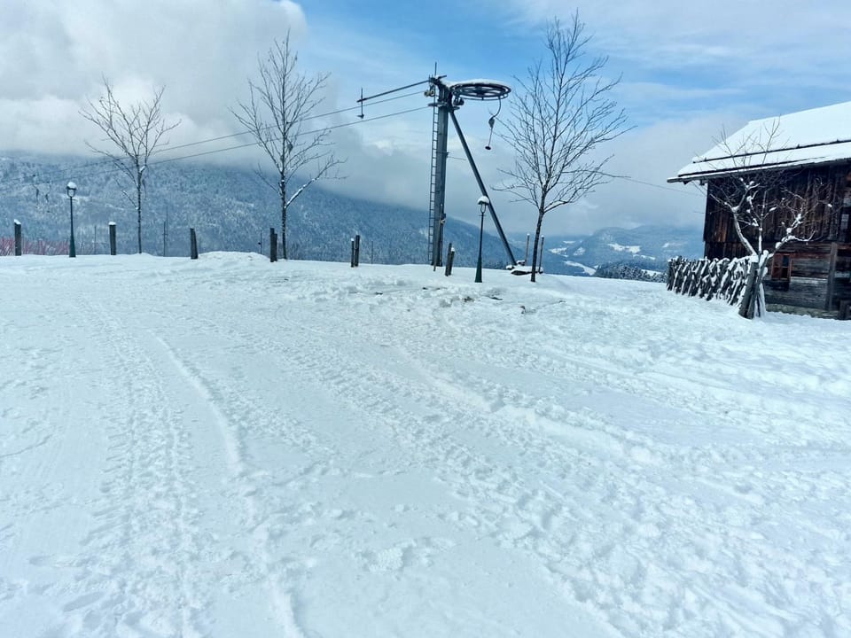 Day, Winter, Skiing