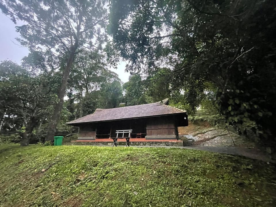 Thottam Farmstay Kuttikanam Farm Stay in Kerala