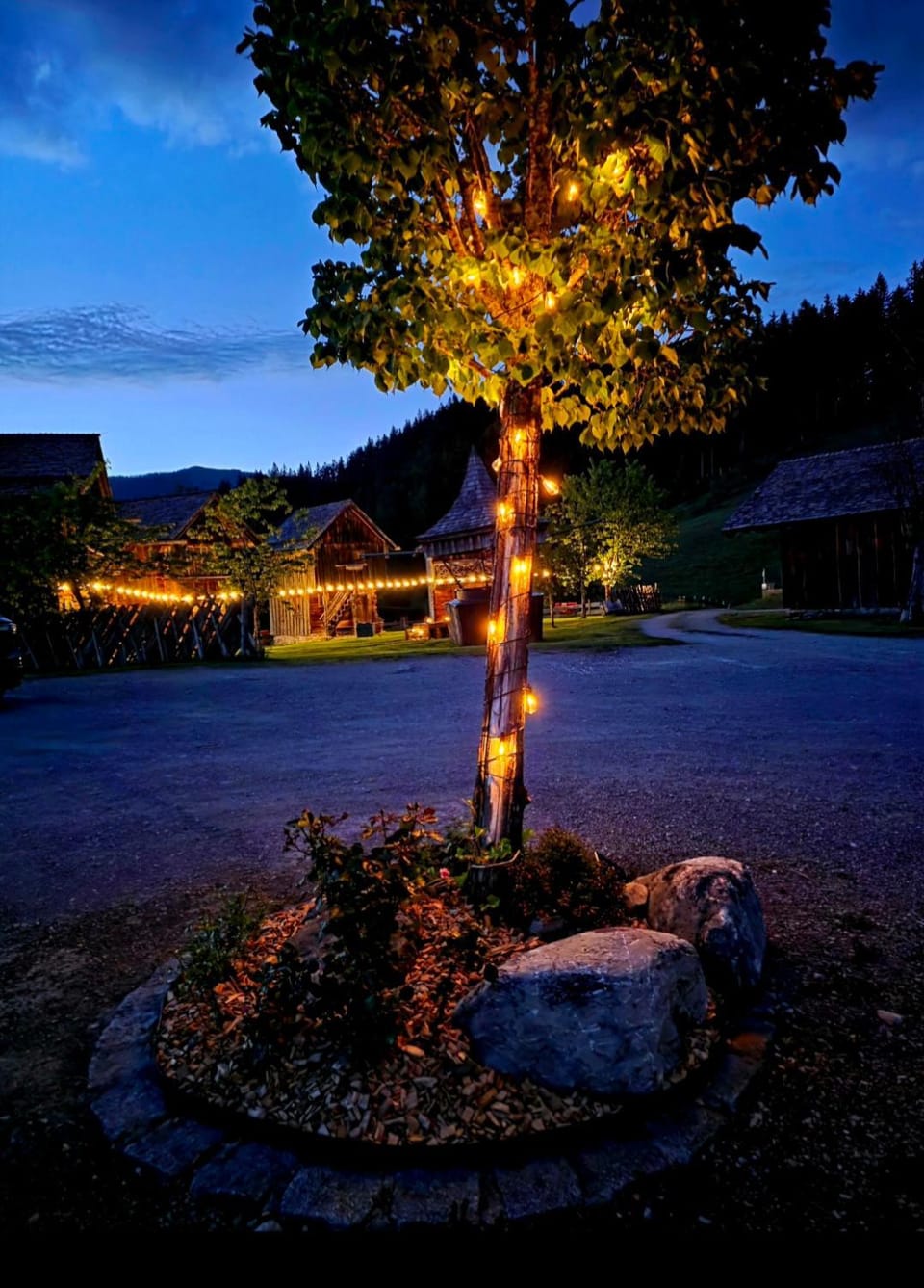 Night, Natural landscape, Garden