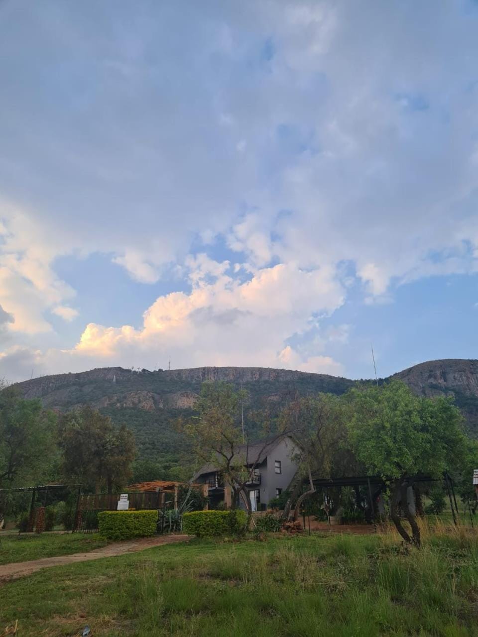 View (from property/room)