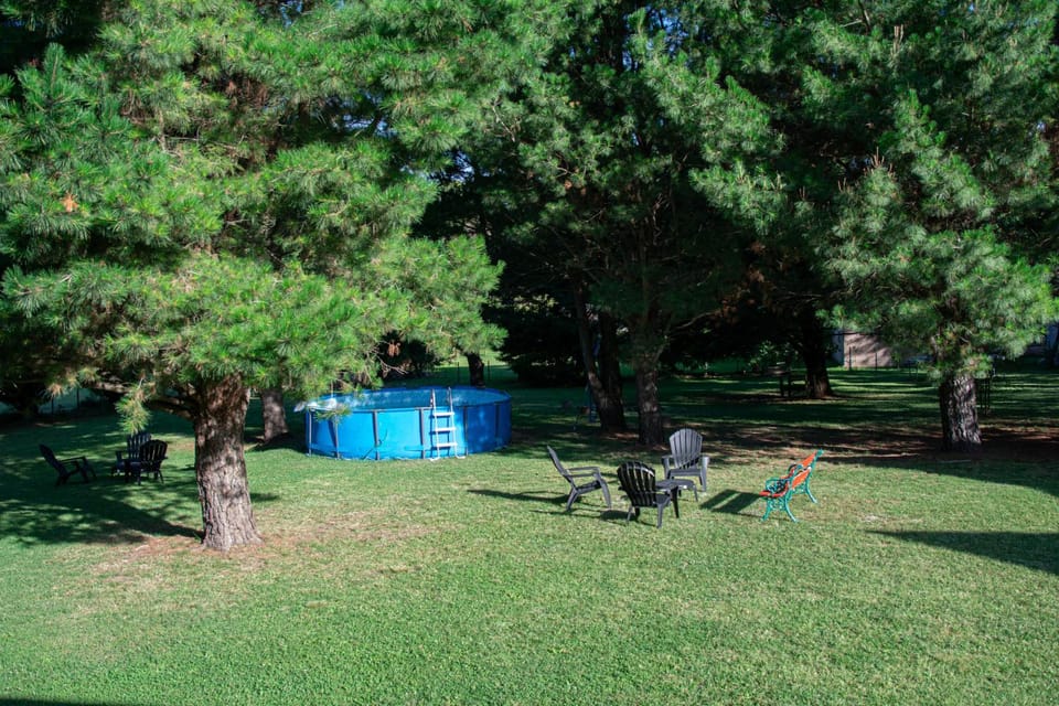 Garden, Garden view, Swimming pool
