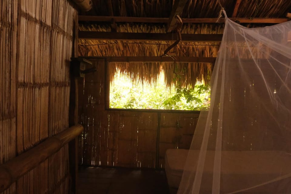 Auroa Palomino Bed and Breakfast in Magdalena, Colombia