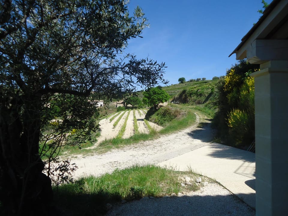 Natural landscape, Garden