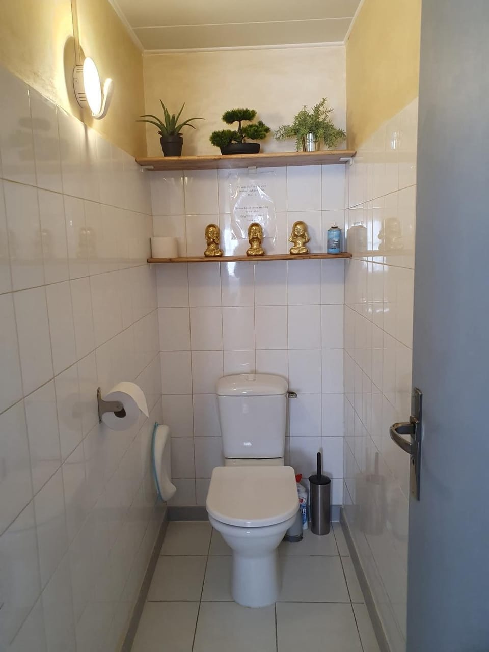 Pitaya Apartment in Catalonia