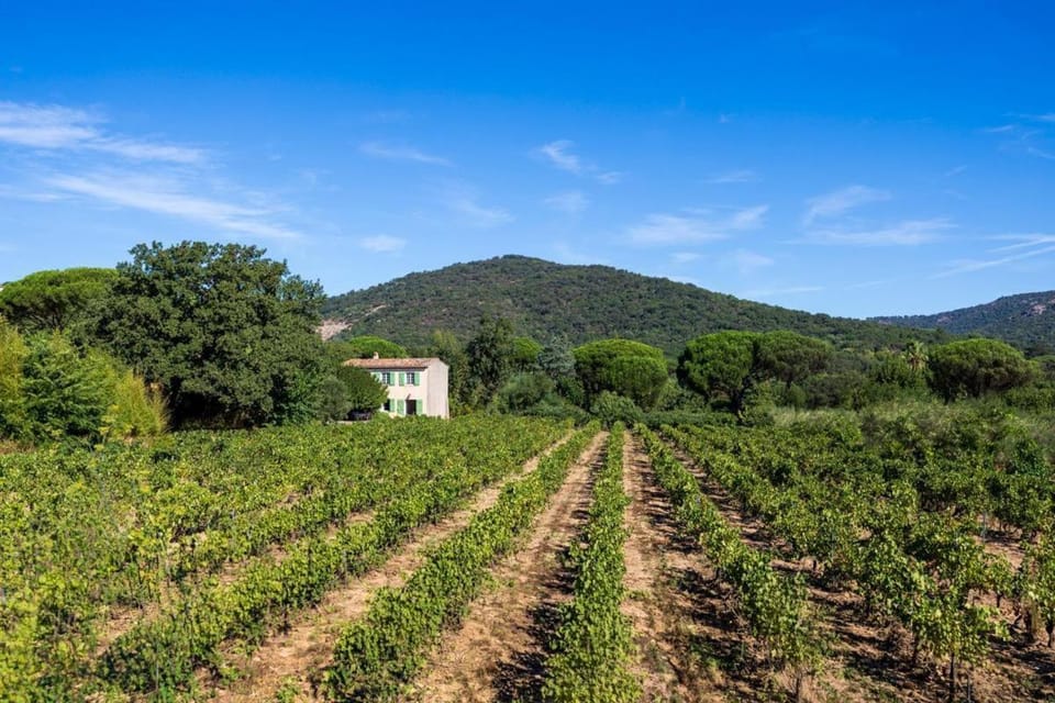 Gîte dans les vignes la calade House in Cogolin