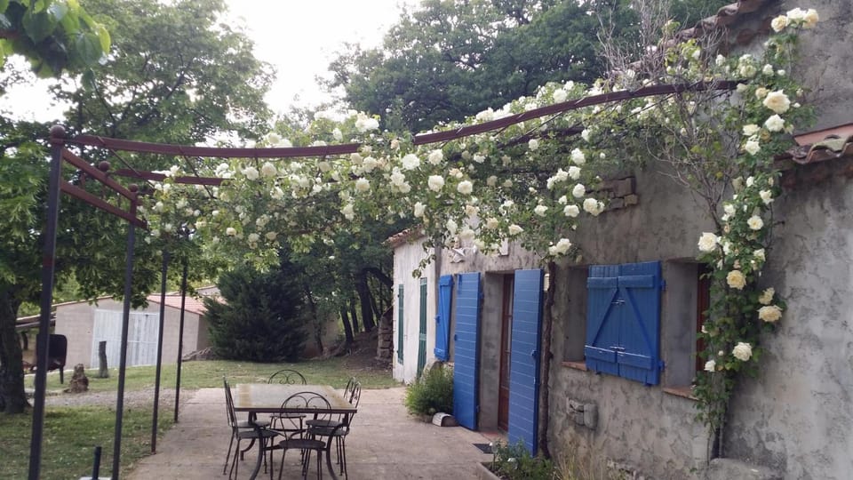 Gîte individuel camfier House in Saint-Maximin-la-Sainte-Baume