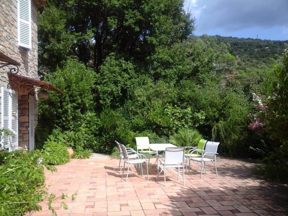 Mas provençal au vieux moulin House in Lorgues