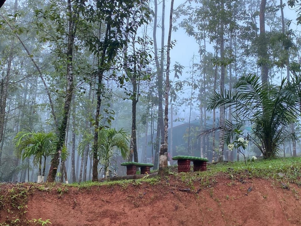 Bahías Lodge Nature lodge in Puntarenas Province
