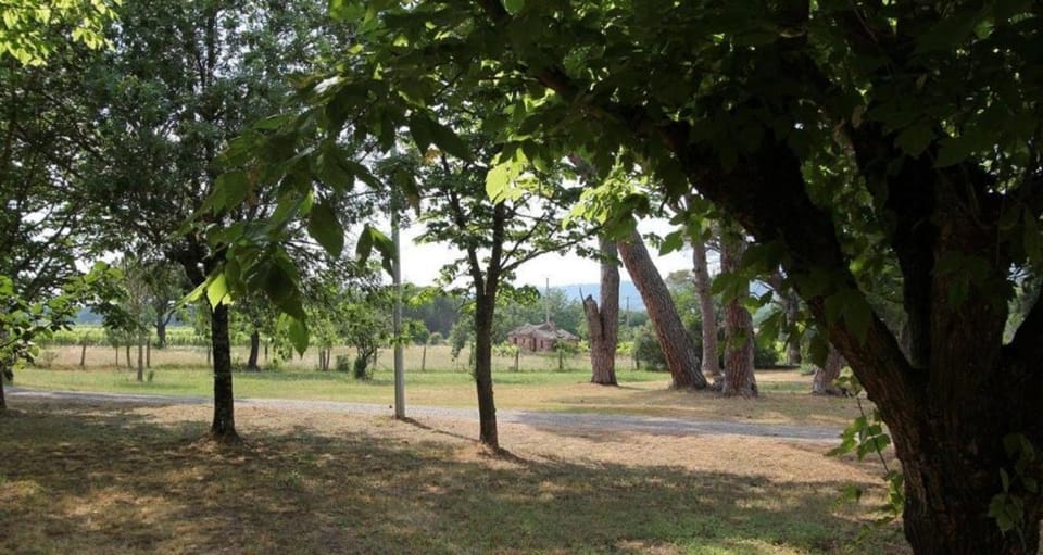 Bastide les espérifés House in Vidauban