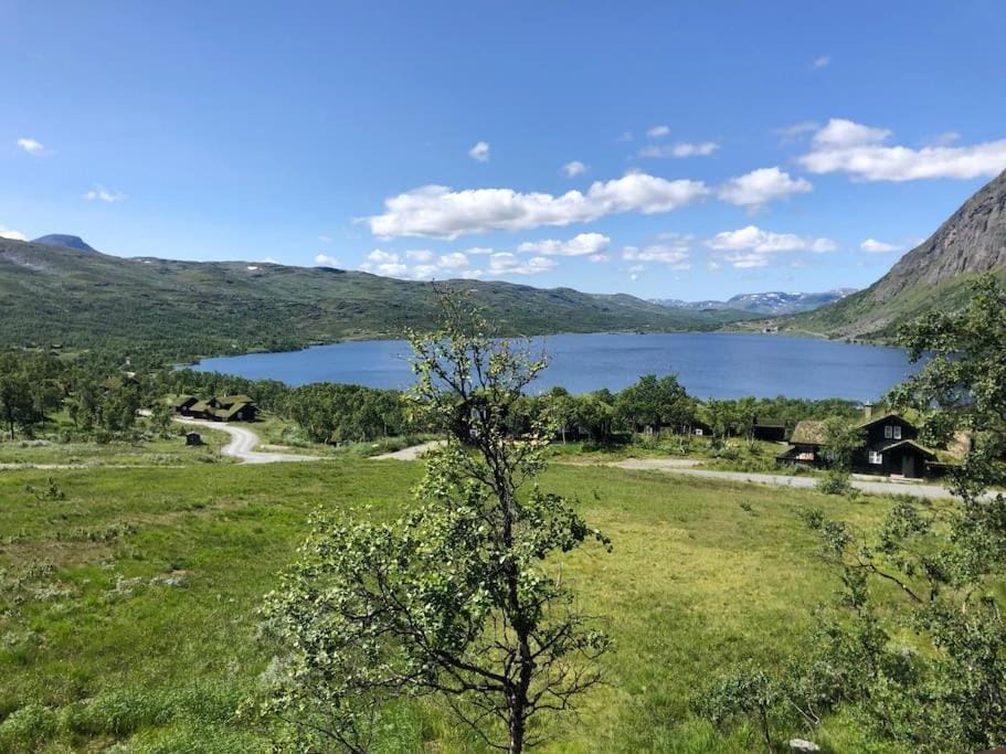 Lake view, Mountain view