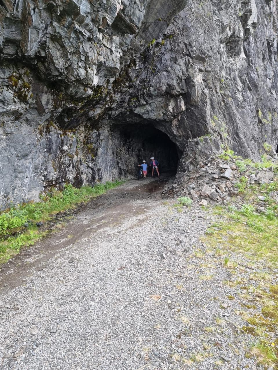New, Mountain paradise, biking, alpine touring, skiing in & out House in Vestland