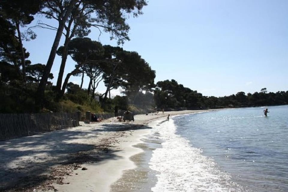Les vendangeurs à 800 m de la mer House in La Londe-les-Maures