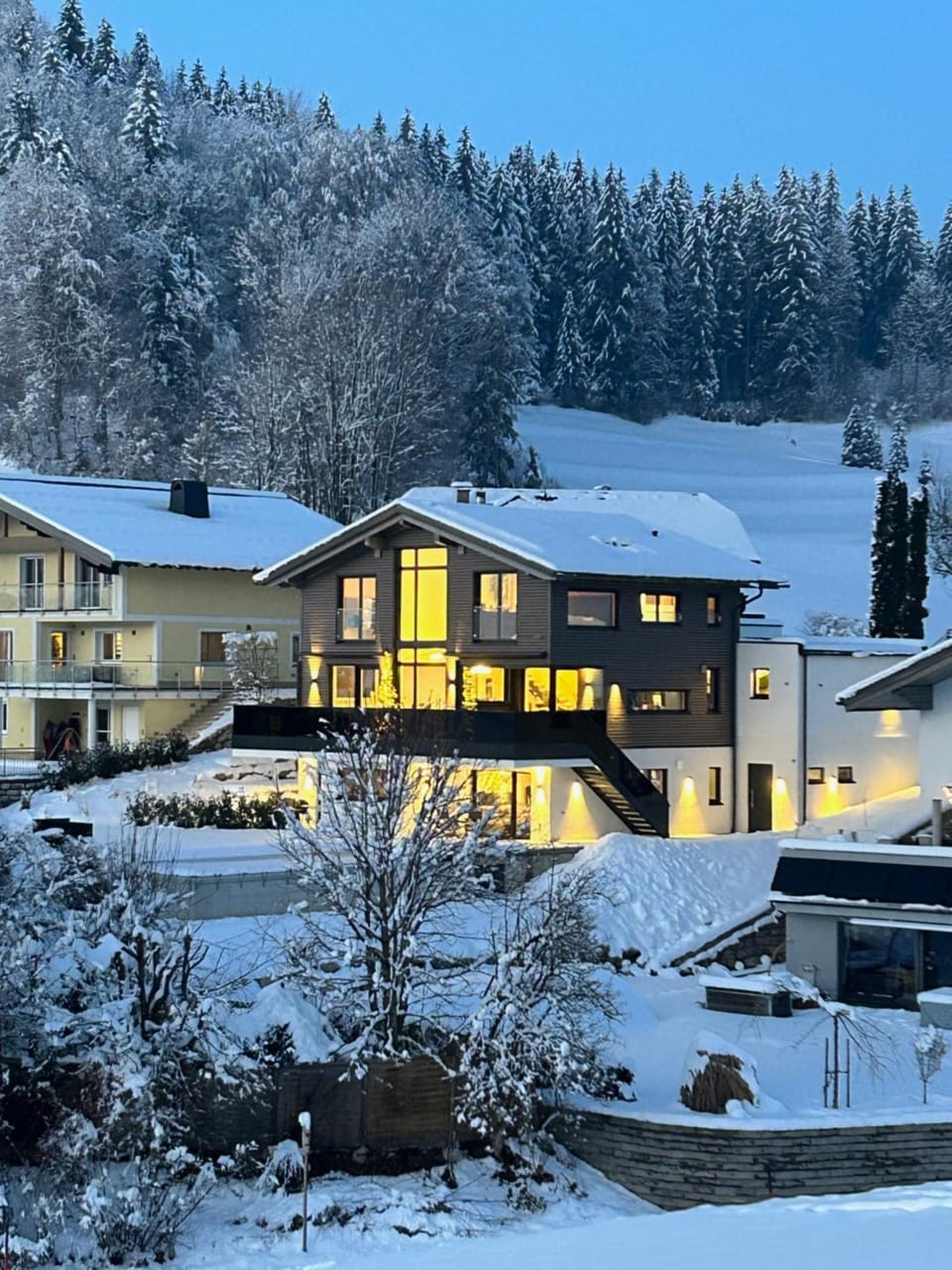 Property building, Night, Natural landscape, Winter, View (from property/room)