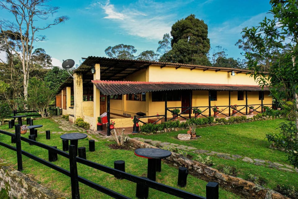 Property building, Day, Garden