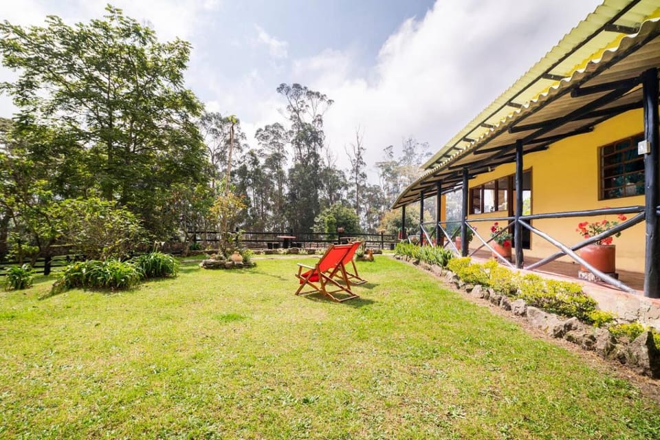 Day, Garden, Garden view