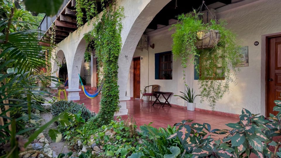Patio, Spring, Day, Garden, Garden view