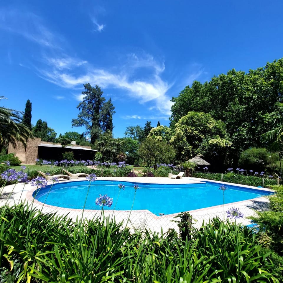 Spring, Natural landscape, Garden, Garden view, Swimming pool, sunbed