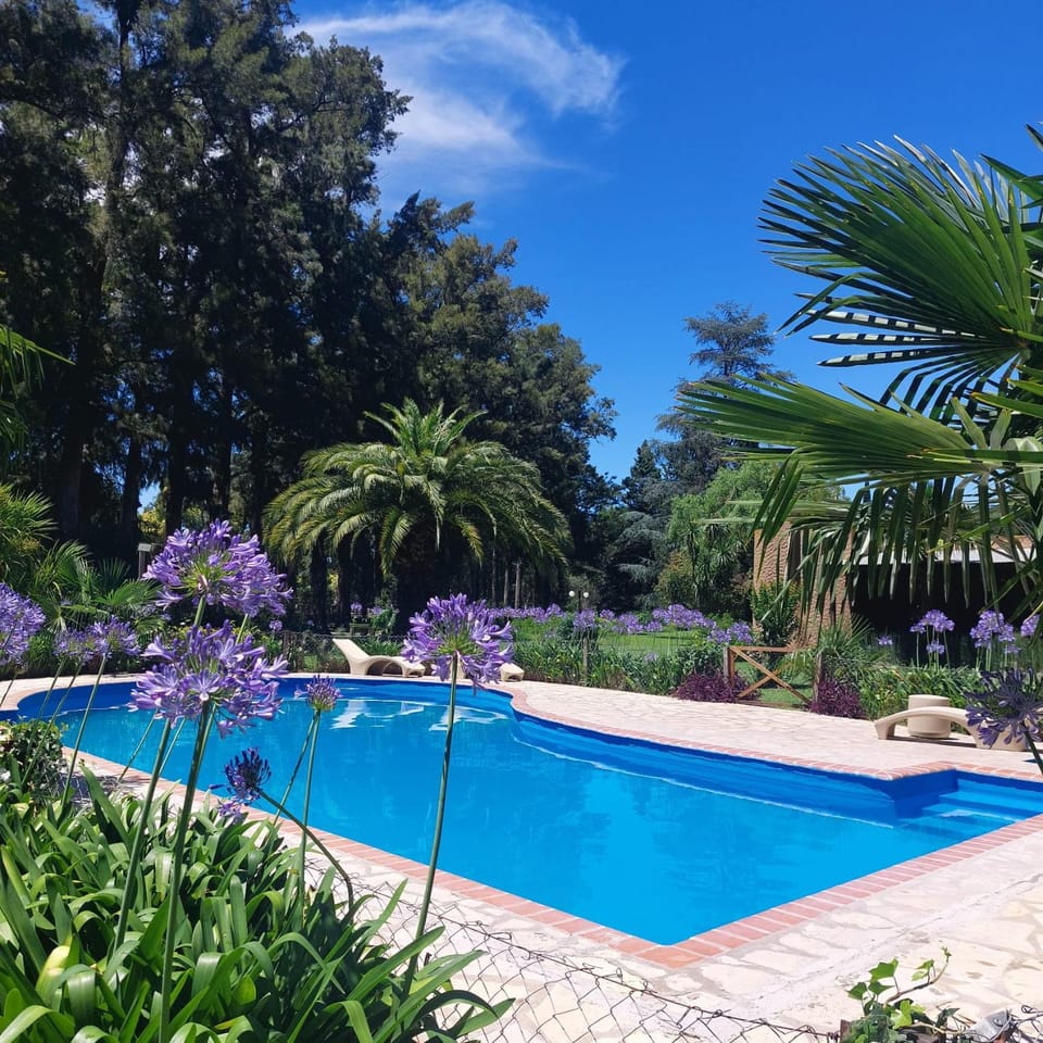 Spring, Pool view, Swimming pool, sunbed