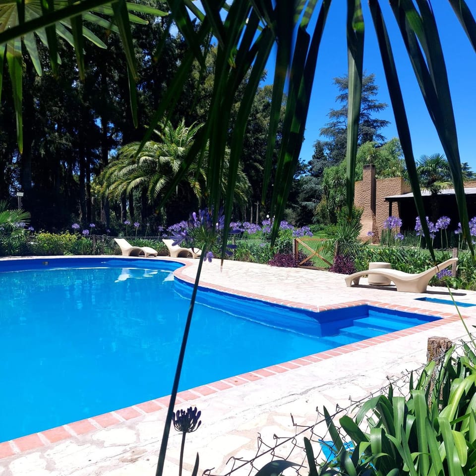 Swimming pool, sunbed